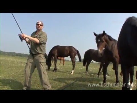 Unexpected carp luck with Matze Koch