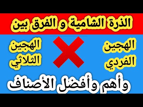 , title : 'الذرة الشامية والفرق بين الهجين الفردي والهجين الثلاثي وأهم وأفضل الأصناف'