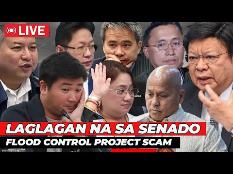 🔴 Philippines Senate Live: Mastermind Unmasked as Unexpected Twist Blows Up Hearing | Jevara PH