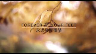 Forever at your feet/永相随/oh susanna