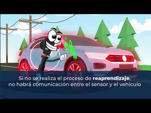 Proceso de Reapredizaje de los Sensores TPMS de Schrader