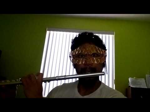 Carly Rae Jepsen - Call me Maybe Flute Cover