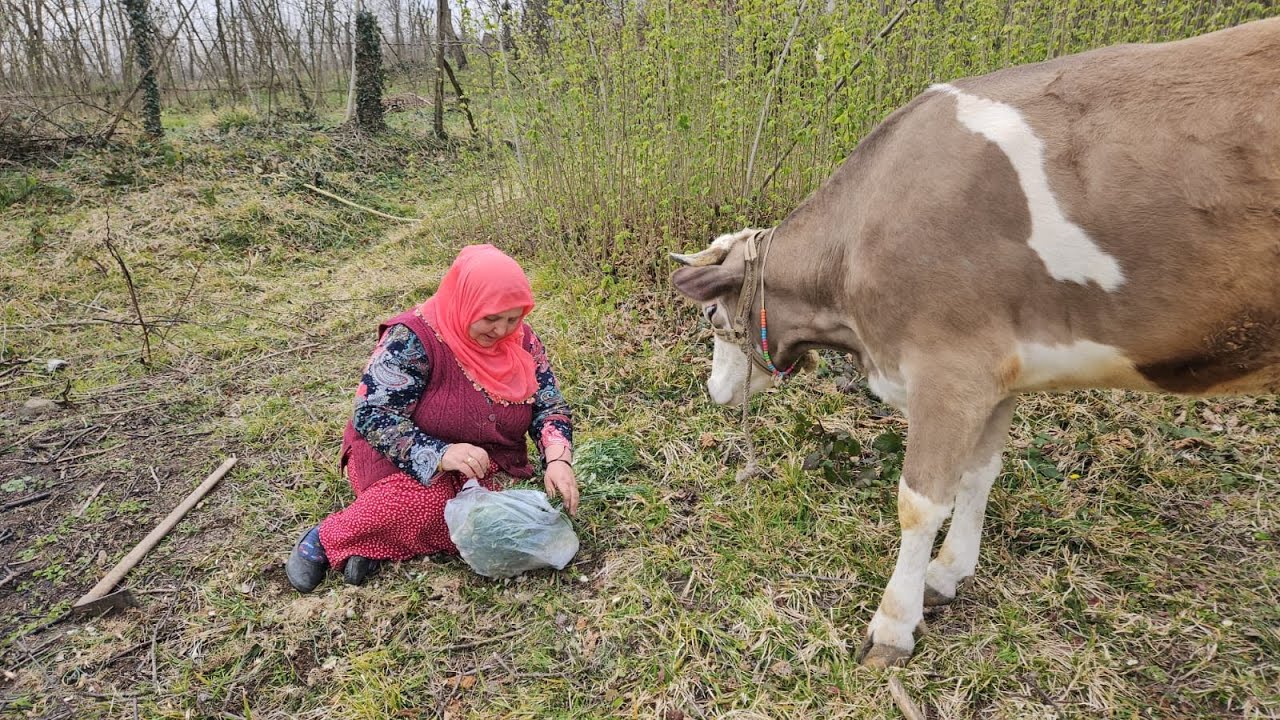 ‼️GÜZEL BİR GÜN TÜM İSLAM ALEMİNİN KANDİLİ MÜBAREK OLSUN‼️🤲🏼🤲🏼