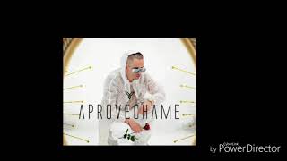 Aprovechame-Yandel
