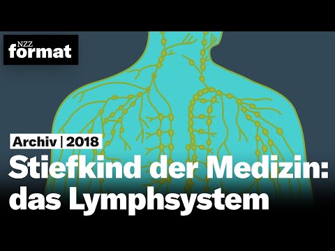 Stiefkind der Medizin: das Lymphsystem  (2018)