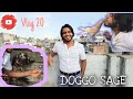 Pet Vlogging ki aibhabe kore ? | DOGGO SAGE | Rafid Hoque Swad
