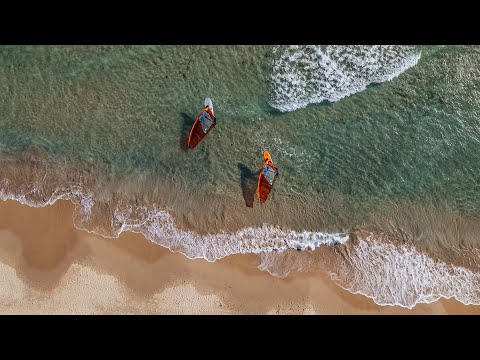 Loftsails 2023 Collection