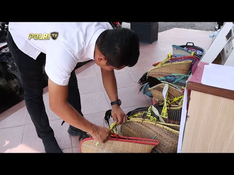 POLRES GEROBOGAN TANGKAP PELAKU JUDI SABUNG AYAM