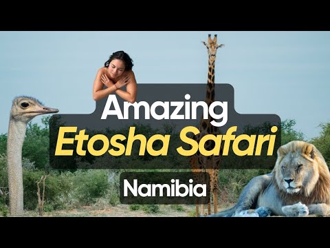 We Went on the Ultimate Self-Drive Safari in Etosha National Park (Namibia Ep. 4)