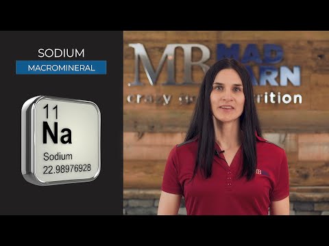Sodium for Horses  - Requirements, Functions & Signs of Deficiency  - Equine Nutrition