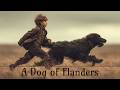 Touching Family Drama ️ A Dog Of Flanders ️ Full Movie In English