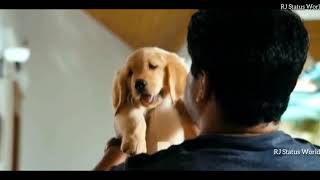 Aaro aaro - Ring master  Pet lover  Malayalam  Wha