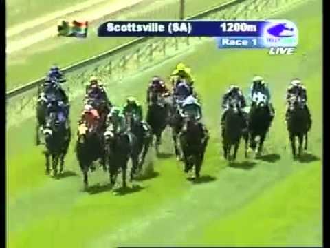 2012-11-03 Scottsville - race 1