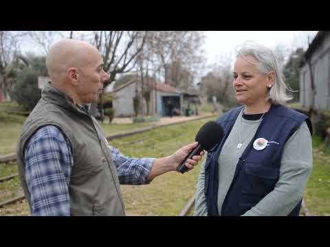 Todo Uruguay | Piedras de afilar