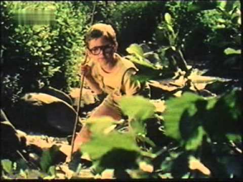 De Ce Are Vulpea Coada (1988)