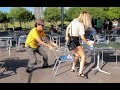 Chair Pulling Prank in Birmingham!!! Chair Pulling Prank in Birmingham!!!