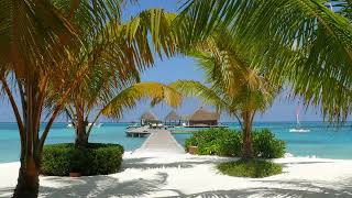 Lisa Stansfield  -  A Little More Love