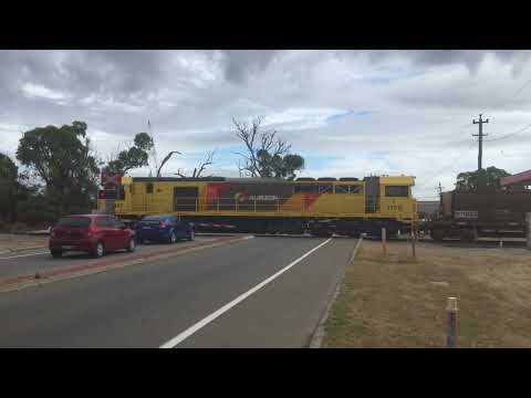 Railroad Crossing with Freight Train passing through Kwinana in Western Australia