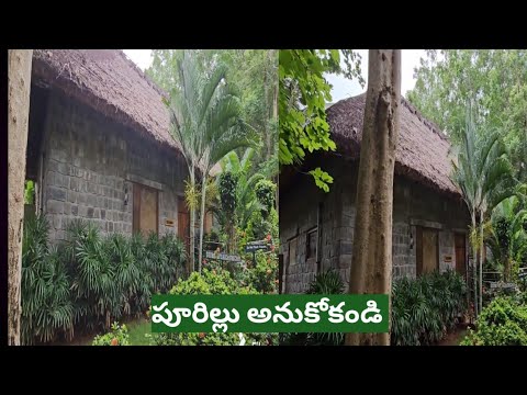Vlog/Sparsa resort/Arunachalam/nature/traditional look/greenary/pleasant nature
