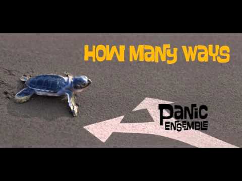 Panic Ensemble - How Many Ways