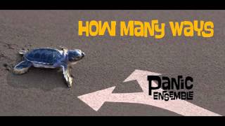 Panic Ensemble - How Many Ways