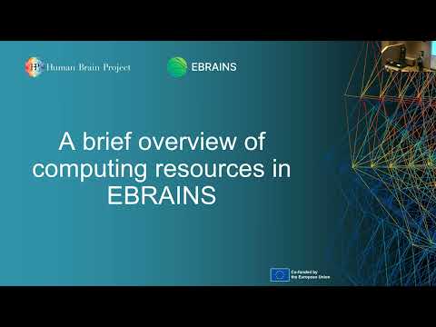 Andrew Davison - Computational neuroscience with EBRAINS