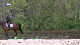 preview picture of video 'Miljoenenpaard London komt tot rust in Tubbergen'