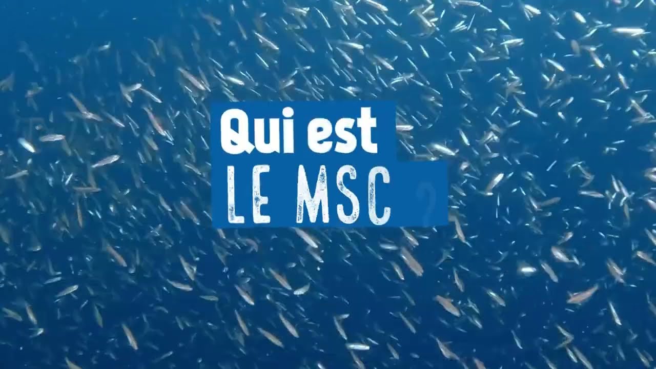 Qui est le MSC ?