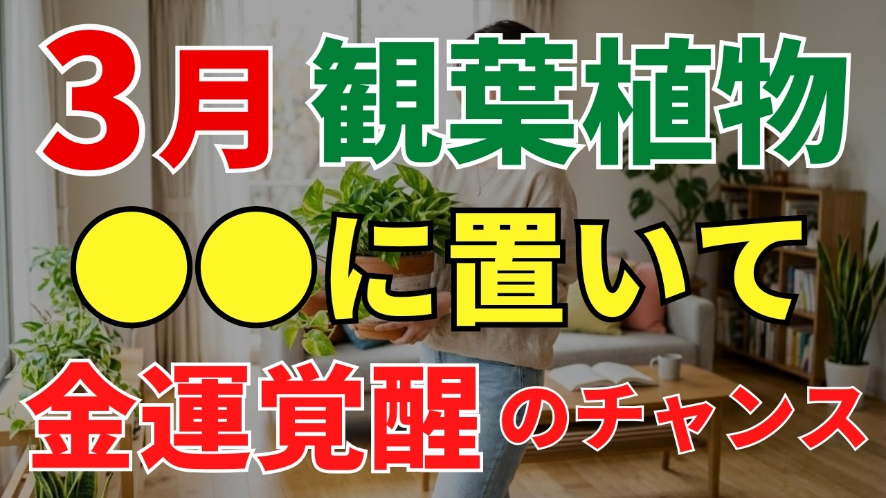 【金運覚醒の大チャンス】3月の観葉植物の置き場所とお手入れを風水アドバイザーが解説