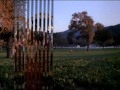 Dynasty Season 3 1982 1983
