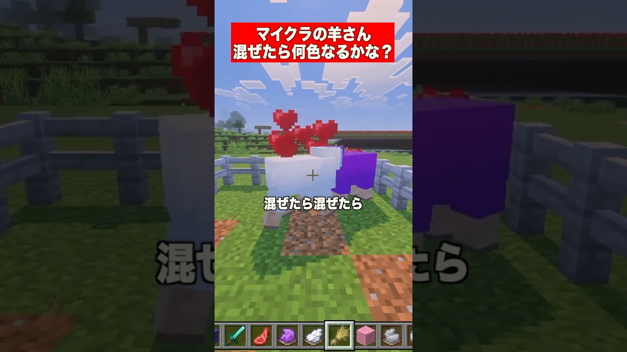 マイクラの羊さんで混ぜたら何色なるかな？ #マインクラフト  #マイクラ  #minecraft