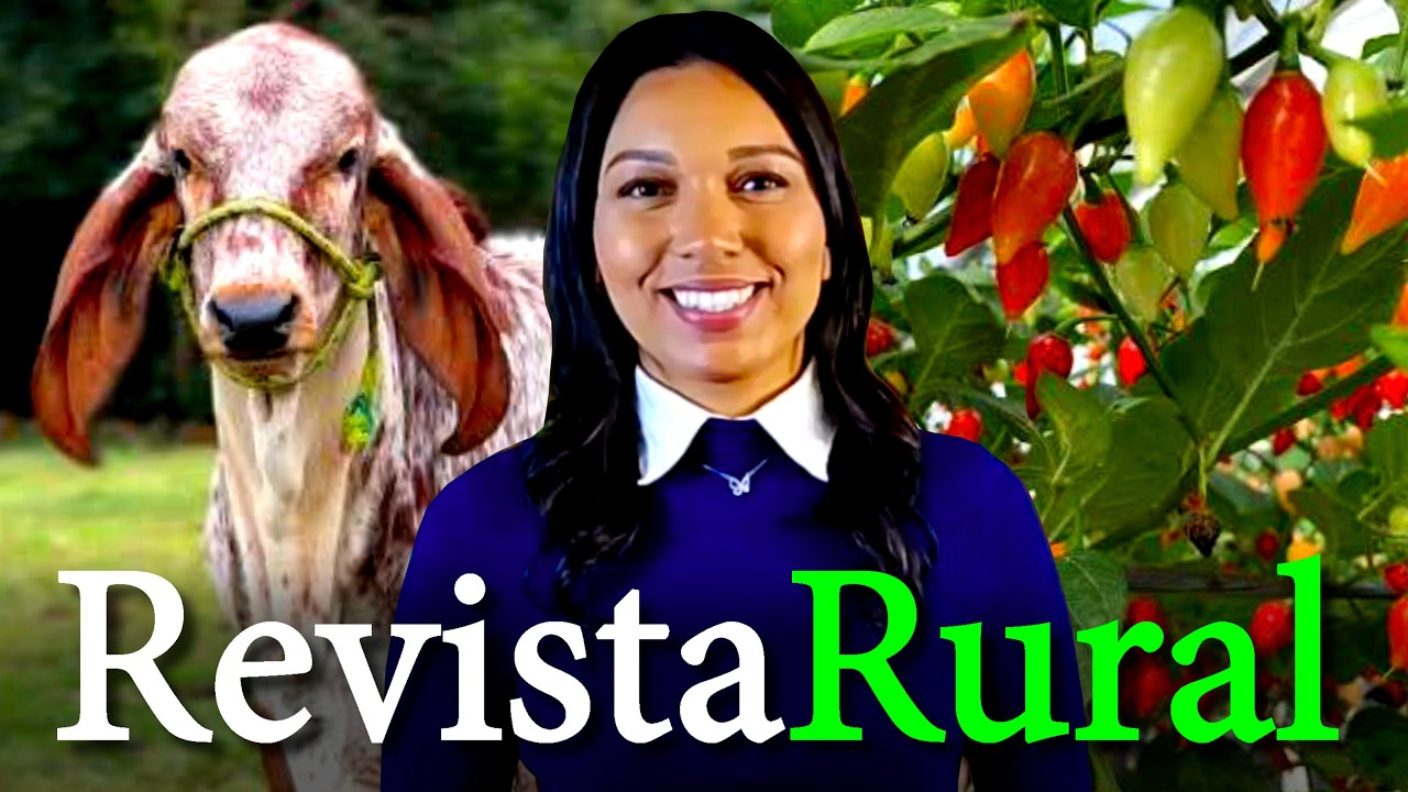 PROGRAMA REVISTA RURAL - 25/10/2026