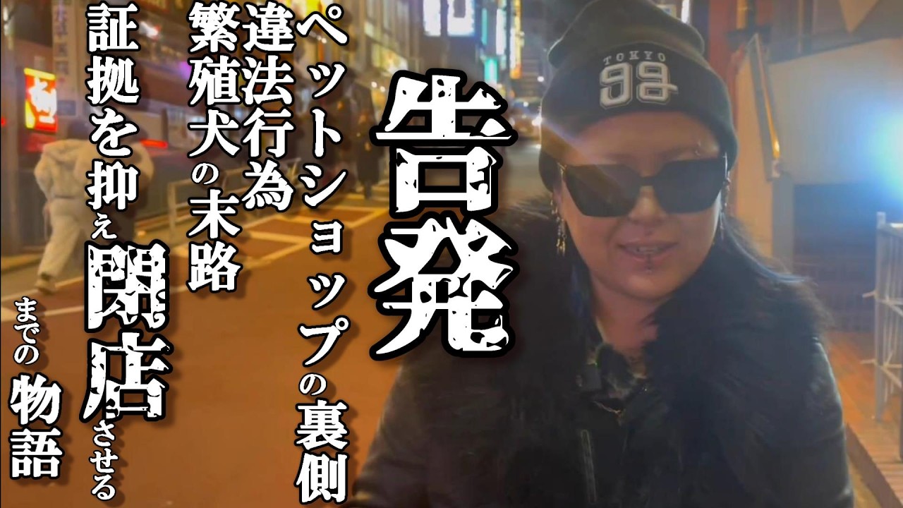 【告発】ペットショップの違法行為/繁殖犬の末路/入澤夢月