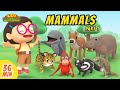 Mammals Minisode Compilation Part 1 5 Leo The Wildlife Ranger Animation For Kids