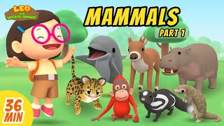 Download lagu Mammals Minisode Compilation (Part 1/5) - Leo the Wildlife Ranger | Animation | For Kids mp3 Download lagu Mammals Minisode Compilation (Part 1/5) - Leo the Wildlife Ranger | Animation | For Kids mp3