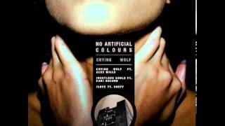 No Artificial Colours ft. Alex Mills - Crying Wolf