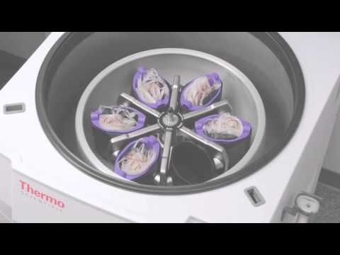 Introducing the New Thermo Scientific Blood Banking Centrifuges