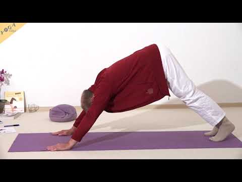 Nach oben schauender Hund - Yoga Asana Lexikon