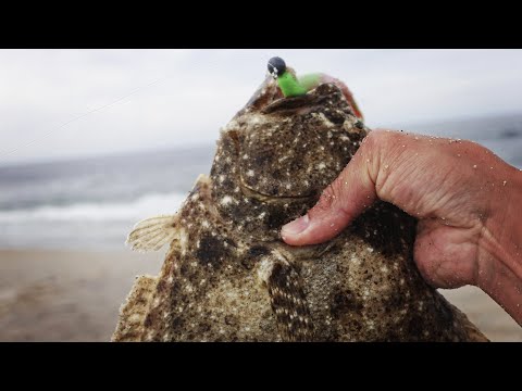 Fluke (Summer Flounder) Fishing from Shore - KEEPERS GALORE!