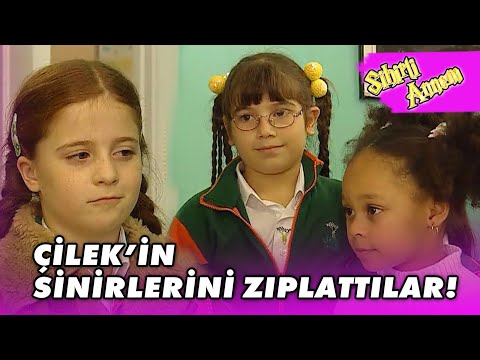 Toprak Çilek'in Sınıfında!  - Sihirli Annem 115.Bölüm