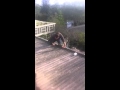 Drunk Russian falls thru roof 