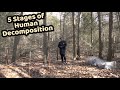 How does a human body decompose? | Body Farm Forensics