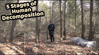 How does a human body decompose? | Body Farm Forensics