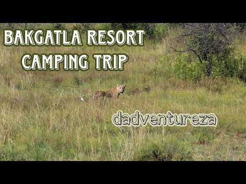 Bakgatla Resort Camping Trip - Pilanesberg National Park