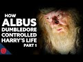 Dumbledore's BIG Plan: The Philosopher's Stone [Harry Potter Film Theory]