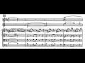 Haydn: Symphony No. 46  in B major - II. Poco adagio - Il Giardino Armonico