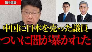 【親中議員】日本人なのに中国のために動く政治家がヤバすぎる…最悪の事実が判明して大焦り!!その実態を全て暴露します【岩屋毅/河野太郎/日本保守党/北村晴男/平井宏治】