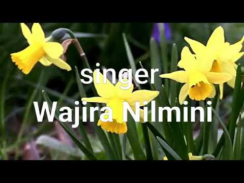 Mal kinithi (මල් කිනිති නිදාවී)