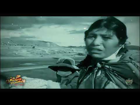 YHEISON PUMITA - At Christmas .. : D.R.