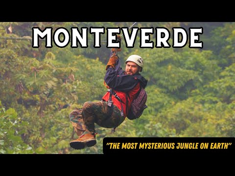 Monteverde, Costa Rica - What I Found Deep Inside Costa Rica’s Cloud Forest Shocked Me